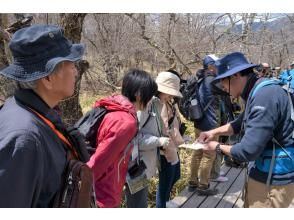 プランの魅力 初心者大歓迎！ の画像