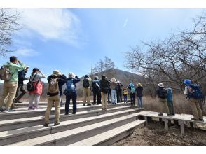 プランの魅力 みんなで探すから楽しい！ の画像