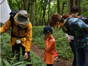 プランの魅力 ガイドがご案内 の画像