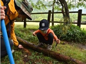 プランの魅力 とにかく観察！ の画像