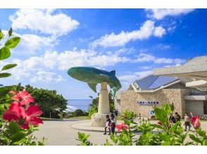 プランの魅力 大迫力の沖縄美ら海水族館 の画像