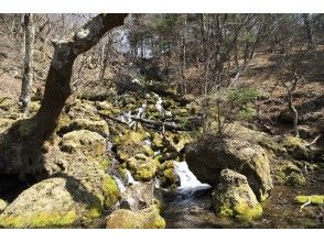 プランの魅力 地獄滝に会える!! の画像