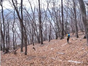 プランの魅力 最後まで楽しい！ の画像