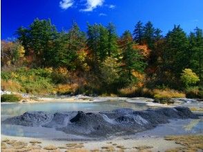 プランの魅力 自然研究路散策 の画像