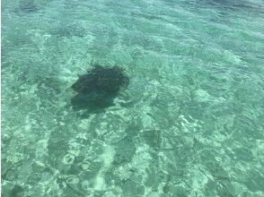 プランの魅力 の画像