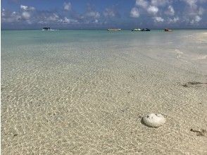プランの魅力 の画像