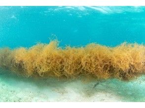 プランの魅力 の画像