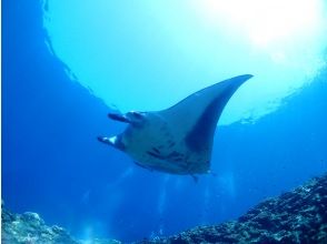 プランの魅力 参加者様全員にもれなく!「竹富島行き乗船券」を無料プレゼンといたします! ライズ石垣島で海遊びも観光もお得に楽しもう♪ の画像