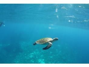 プランの魅力  の画像