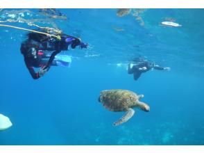 プランの魅力  の画像