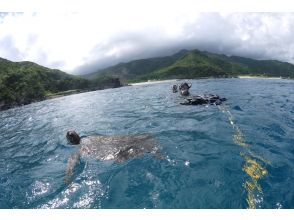 プランの魅力  の画像