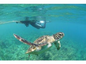 プランの魅力  の画像