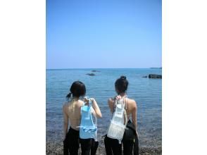 プランの魅力  の画像