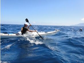プランの魅力 Guided by a professional guide with 18 years of experience as a kayak guide の画像