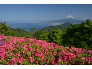 プランの魅力 葛城山（452ｍ） の画像