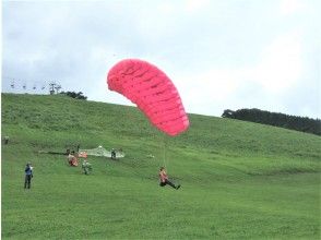 プランの魅力  の画像