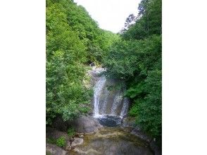 プランの魅力 温泉の滝 の画像