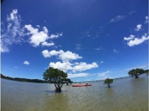 プランの魅力 River kayak の画像