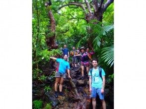 プランの魅力 Jungle trekking の画像