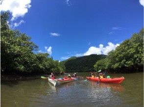 プランの魅力 Sea kayaking の画像