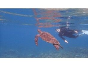 プランの魅力 水中写真撮影サービス有り！（オプション） の画像