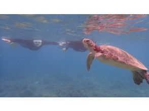 プランの魅力 お子様連れのご家族もOK！ の画像