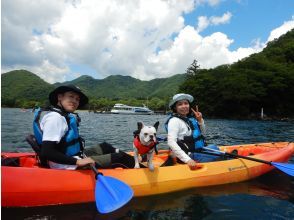 プランの魅力 ワンちゃんと一緒に の画像