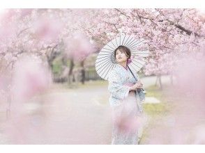 プランの魅力 の画像