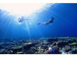 プランの魅力 Greedy plan that you can also enjoy snorkeling の画像