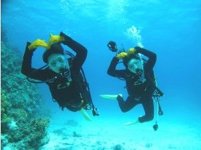 プランの魅力 Let's dive happily and comfortably! の画像