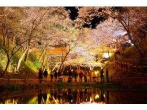 プランの魅力 の画像