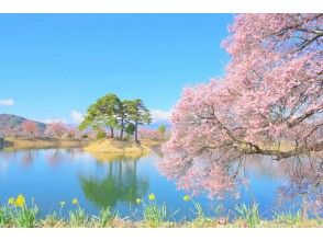 プランの魅力 の画像