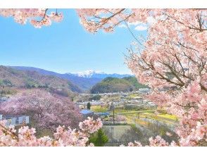 プランの魅力 の画像