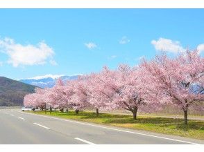 プランの魅力 の画像