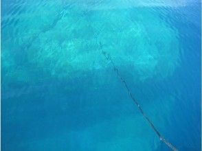 プランの魅力 Hidden root Asaguri in Wakasa Bay の画像