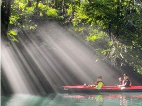 プランの魅力 光の柱！ の画像