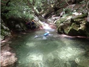 プランの魅力 您还可以欣赏治愈的风景 の画像