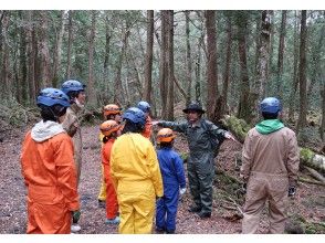 プランの魅力 生命の森　青木ヶ原樹海 の画像