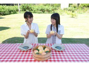 プランの魅力 くだもの狩り（お土産としてお持ち帰り）＋食べ放題（30分）！ の画像