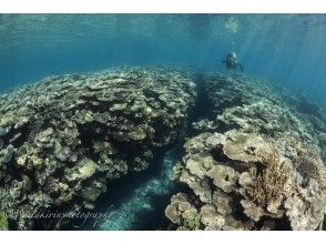 プランの魅力 神秘的な水中世界に感動！！ の画像