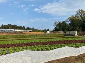 プランの魅力 You can see the growth of vegetables! の画像