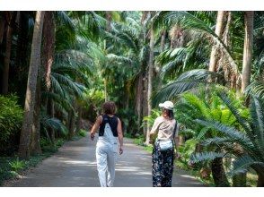 プランの魅力 専属ガイド対応で安心の貸切制 の画像