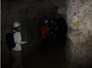 プランの魅力 ガマ入壕 の画像