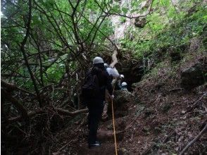 プランの魅力 沖縄戦跡国定公園 の画像