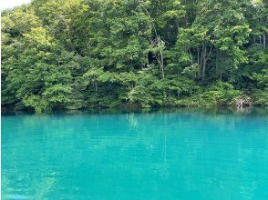 プランの魅力 Lake Aoki Blue の画像