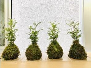 プランの魅力 団体様も安心のコロナ対策実施中 の画像