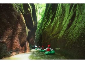 プランの魅力 Go through the curtain of light! の画像