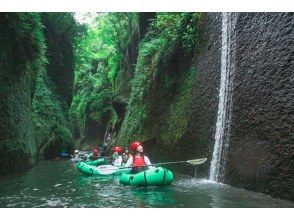 プランの魅力 Waterfall and mossy rock surface の画像