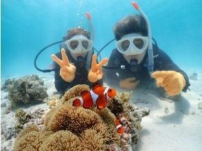 プランの魅力 カップル、ご夫婦で仲良く体験ダイビング！ の画像