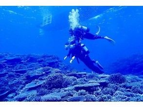プランの魅力 初心者専門の体験ダイビング！ の画像